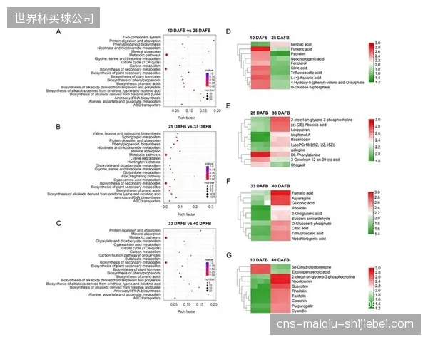 到2029年，结合基因组、代谢组与运动数据的综合分析，将把“数字药方”的个性化精度提升至分子层面